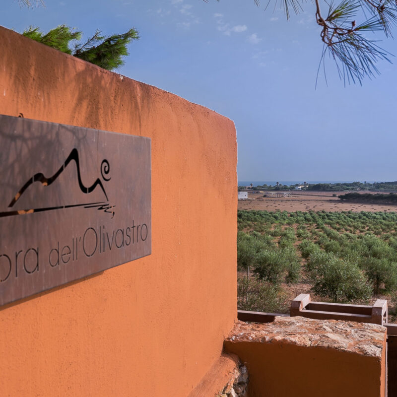 Dimora dell'Olivastro